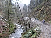 fagnes756.jpg