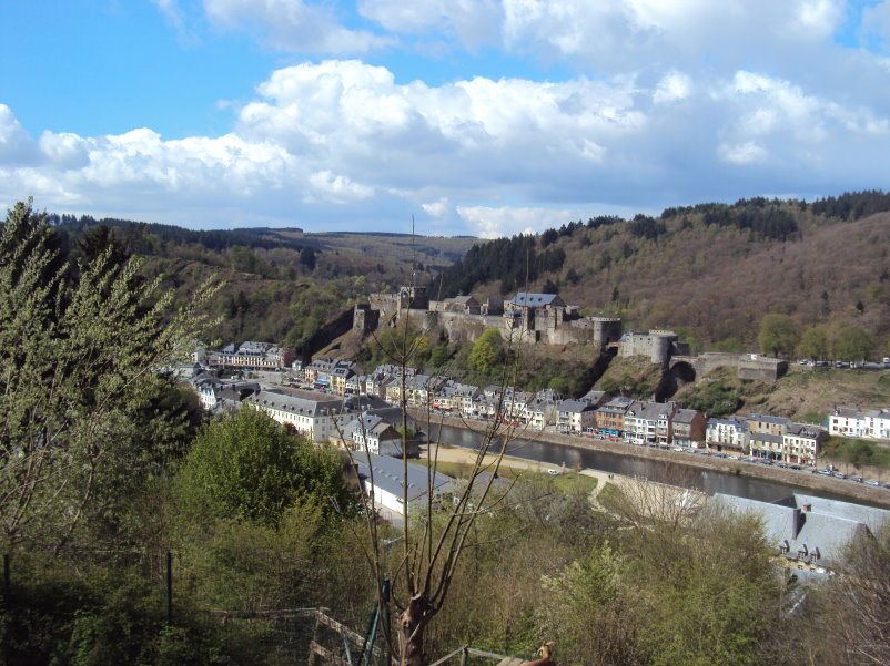 bouillon08233.jpg