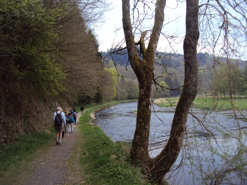 bouillon08357.jpg