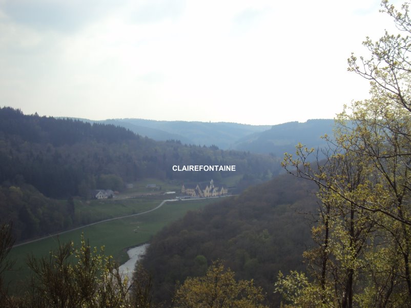 bouillon08414.jpg
