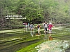 bouillon08393.jpg