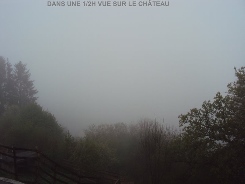 bouillon08439.jpg