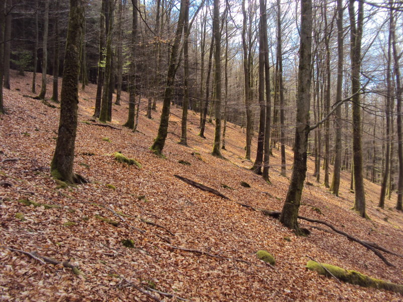 bouillon08469.jpg