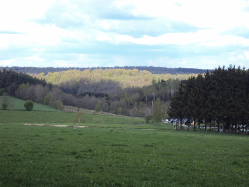 bouillon08474.jpg