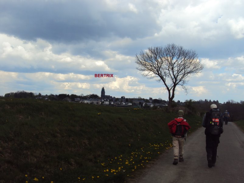 bouillon08490.jpg