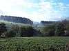 bouillon08446.jpg