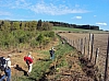 bouillon08457.jpg