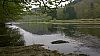 bouillon20125109.jpg