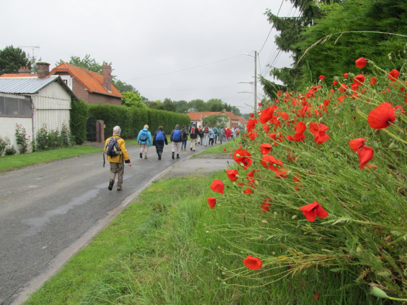 frise002.jpg