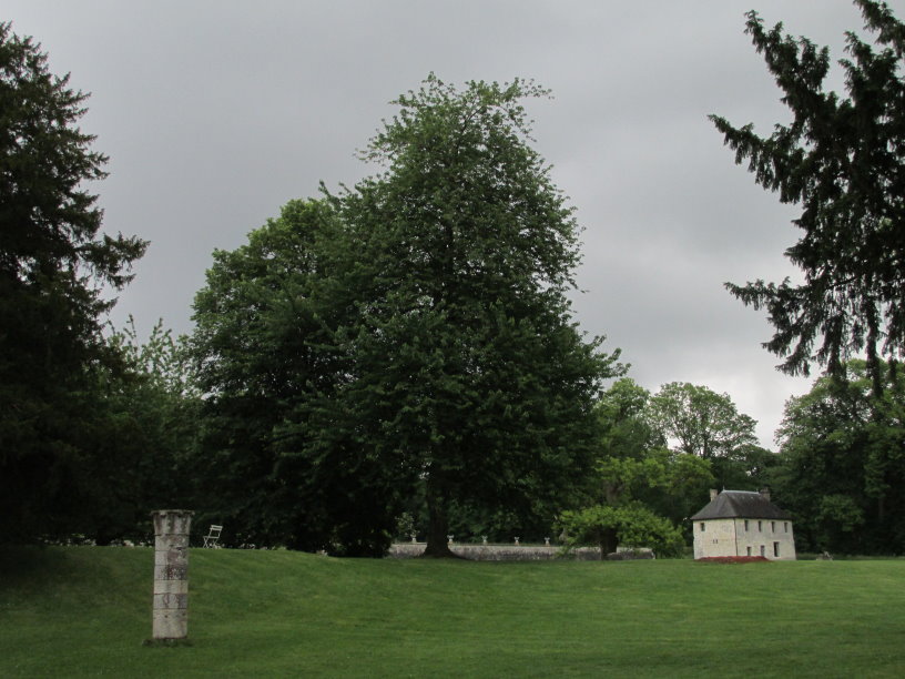 jumieges10115.jpg