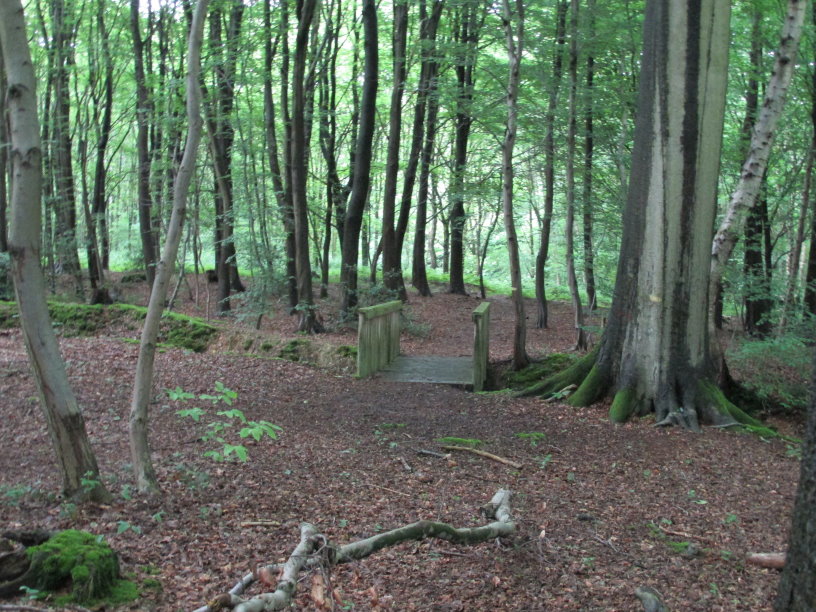 villequier0156.jpg