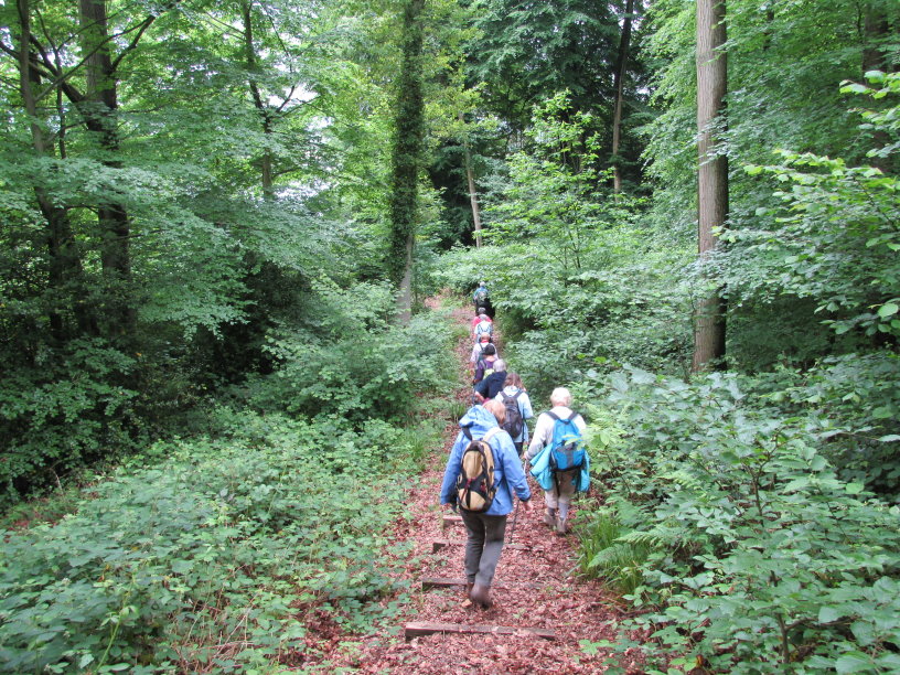 villequier0173.jpg