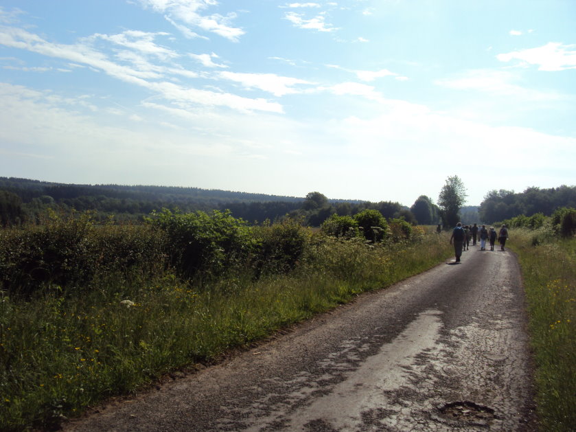 libin8900.jpg