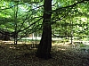 libin8935.jpg