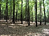 libin8945.jpg