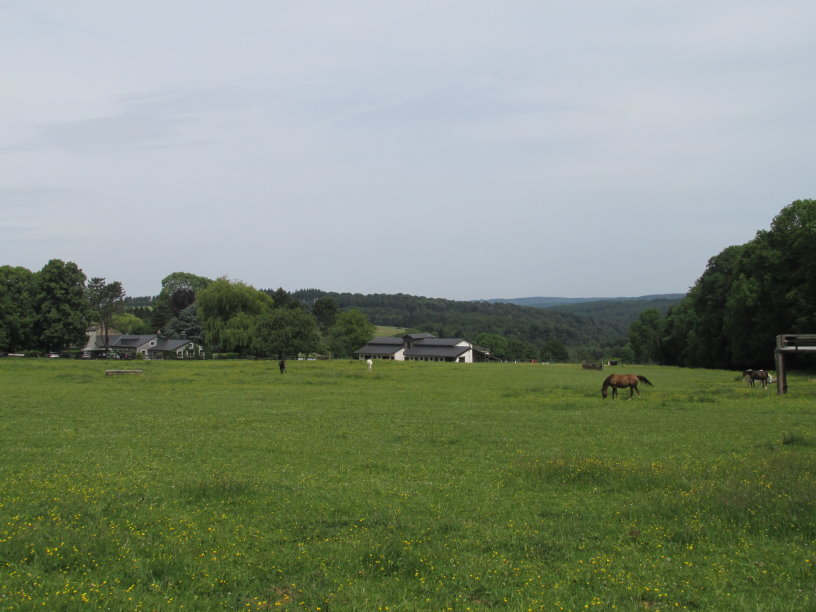 libin0333.jpg