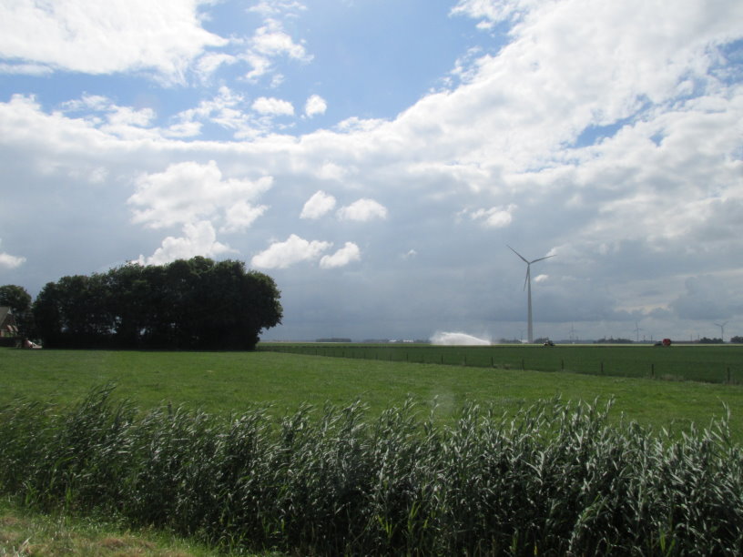 frise0380.jpg