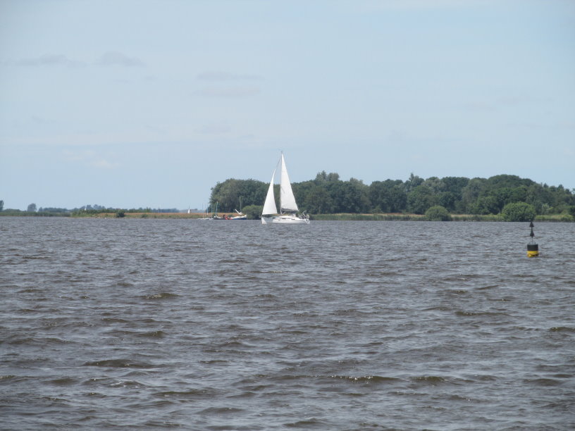 frise0465.jpg