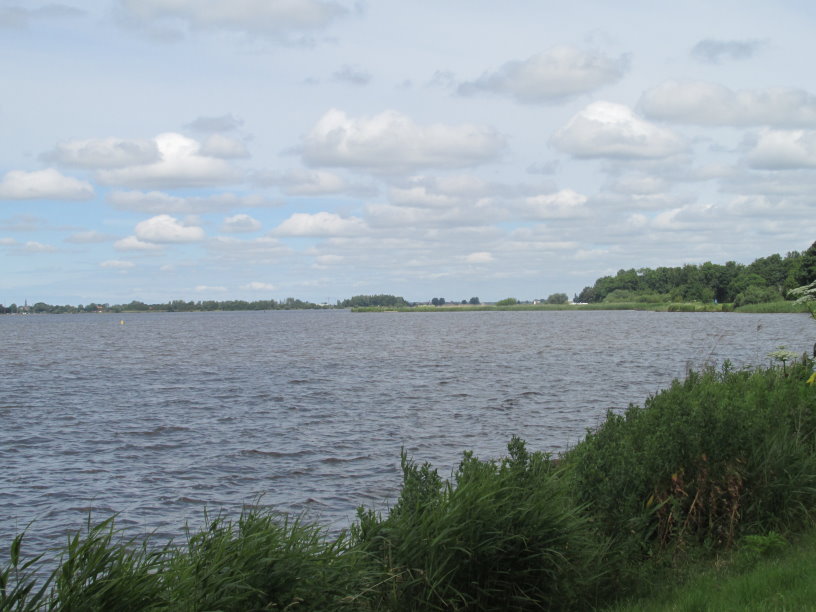 frise0479.jpg