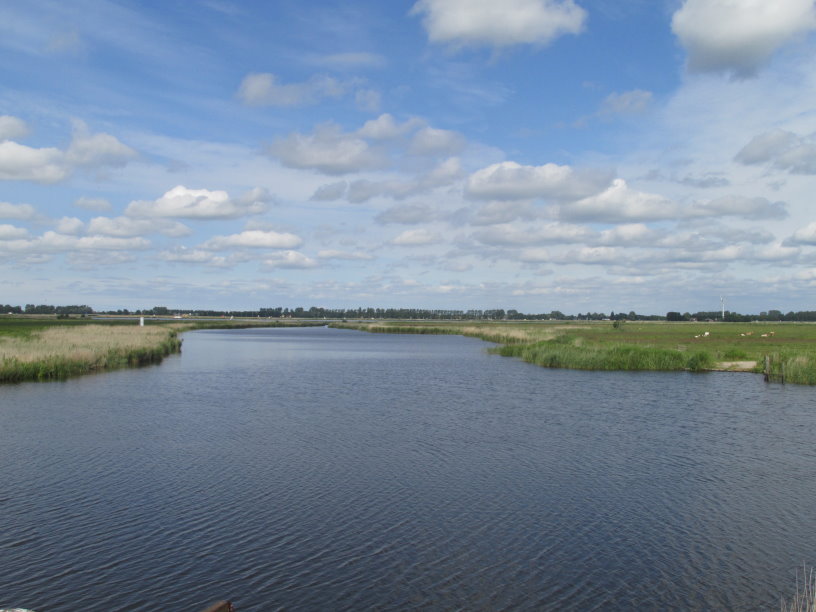frise0493.jpg
