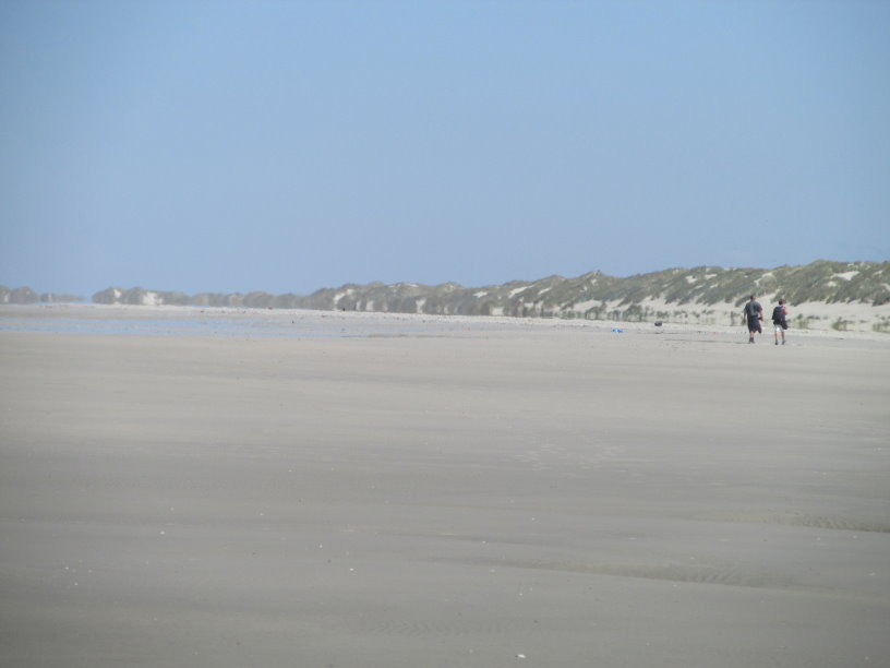 frise0577.jpg