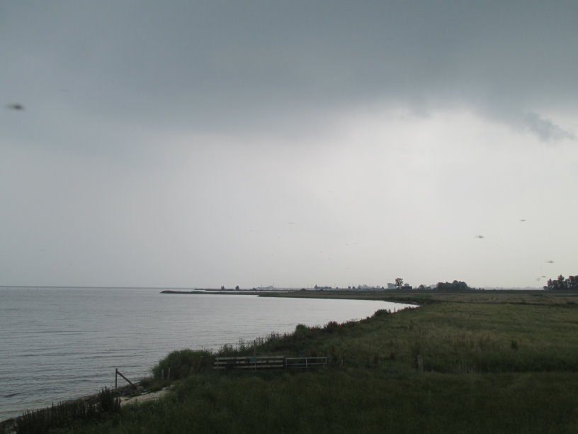 frise0723.jpg