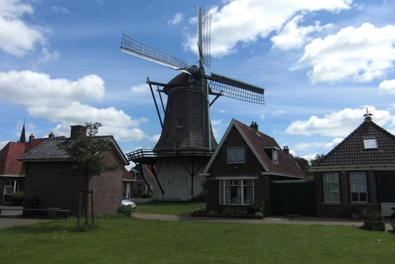frise3498.jpg