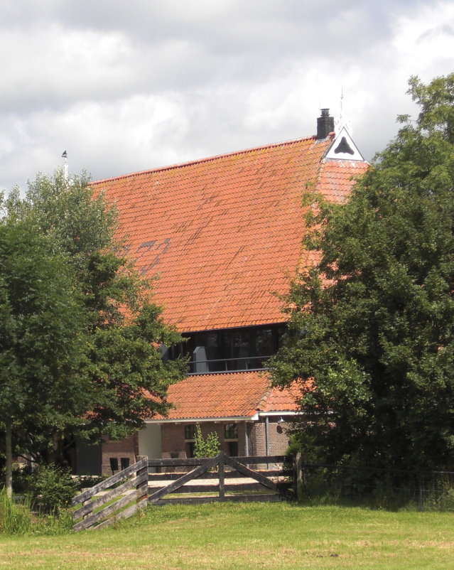 frise3525.jpg