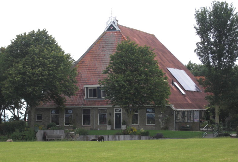 frise3535.jpg