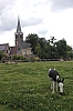 frise3534.jpg