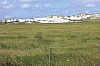 frise3543.jpg