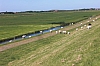 frise3554.jpg