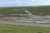 frise3555.jpg