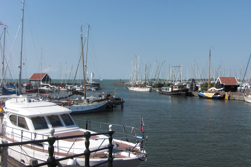 frise3577.jpg
