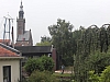 frise3599.jpg