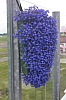 frise3613.jpg