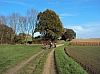 Florival à Louvain