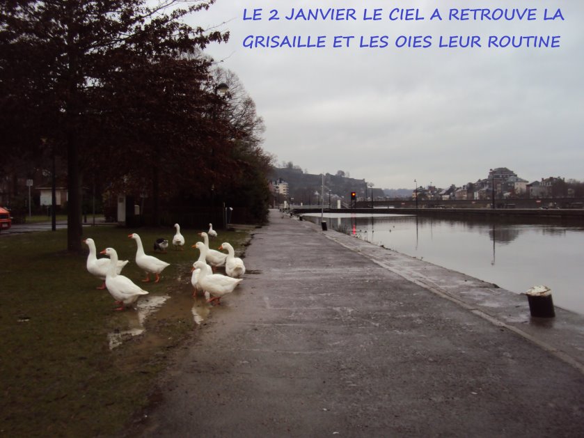 nouvelan00556.jpg