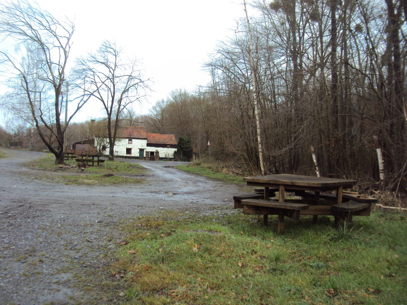 nouvelan00577.jpg
