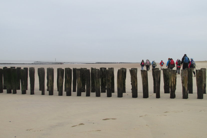 knokke0003.jpg