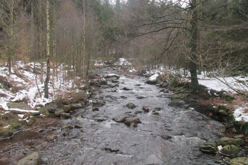 fagnes0113.jpg