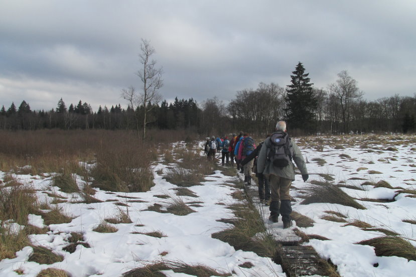 fagnes0142.jpg