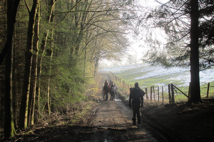 fagnes0169.jpg