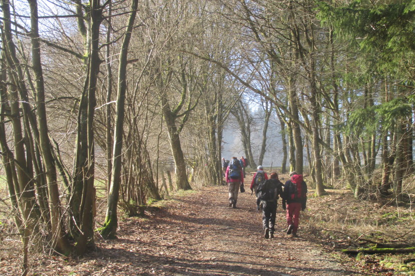 fagnes0189.jpg