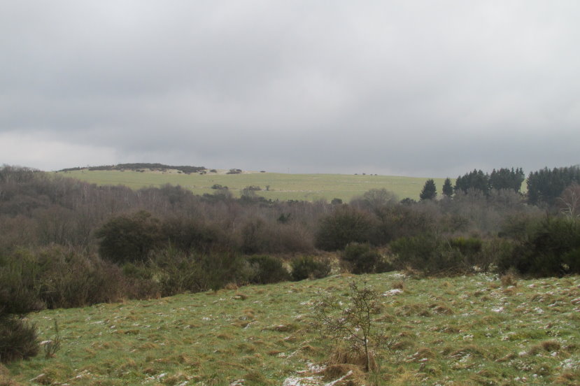 eifel0432.jpg