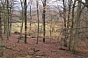 eifel0426.jpg