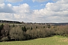 eifel0456.jpg