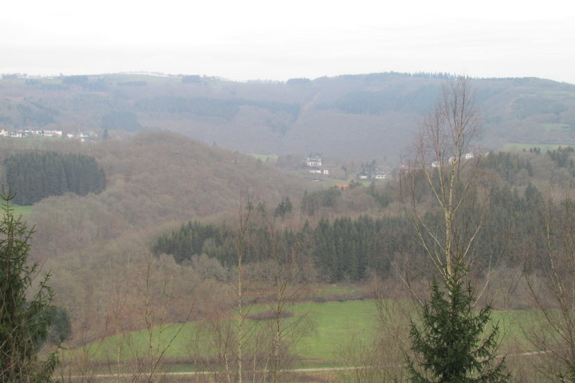 eifel0517.jpg