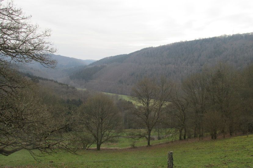 eifel0522.jpg