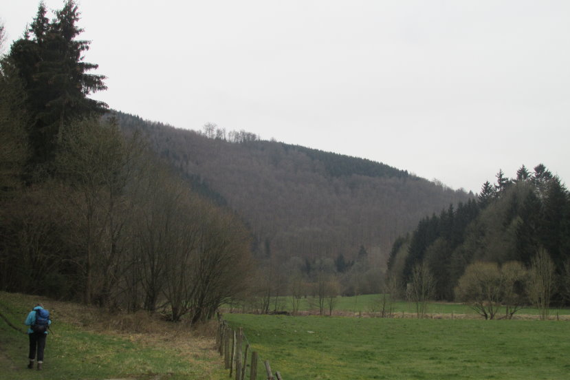 eifel0528.jpg